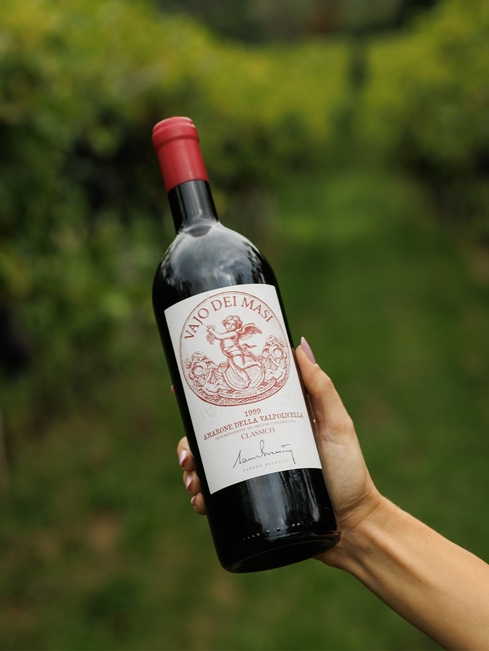 Vajo dei Masi - Amarone and Recioto,Cru,Appassimento wines