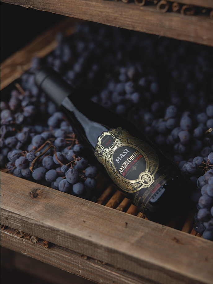 MASI | Wine | Angelorum Recioto della Valpolicella Classico DOCG