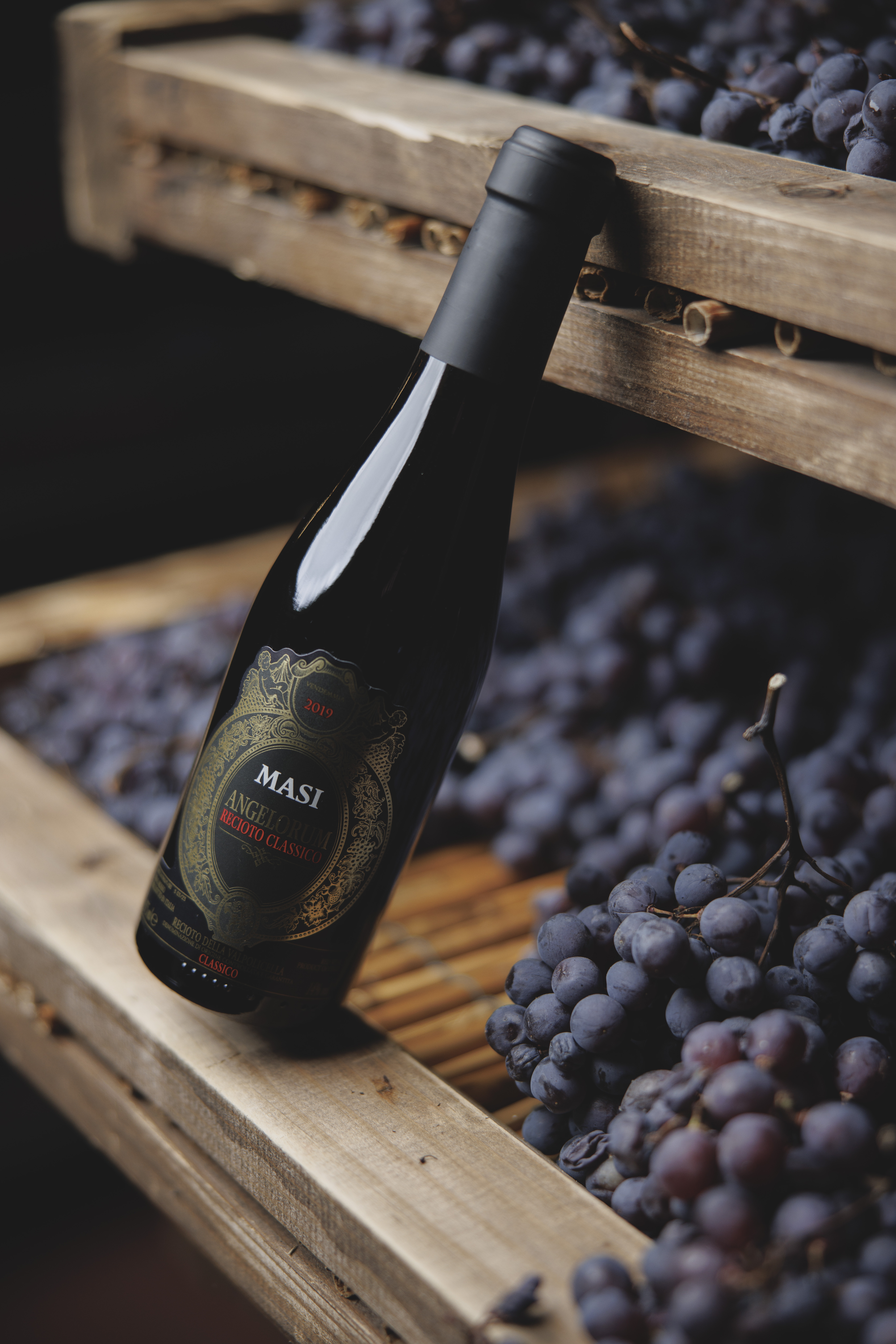Amarone and Recioto | Masi