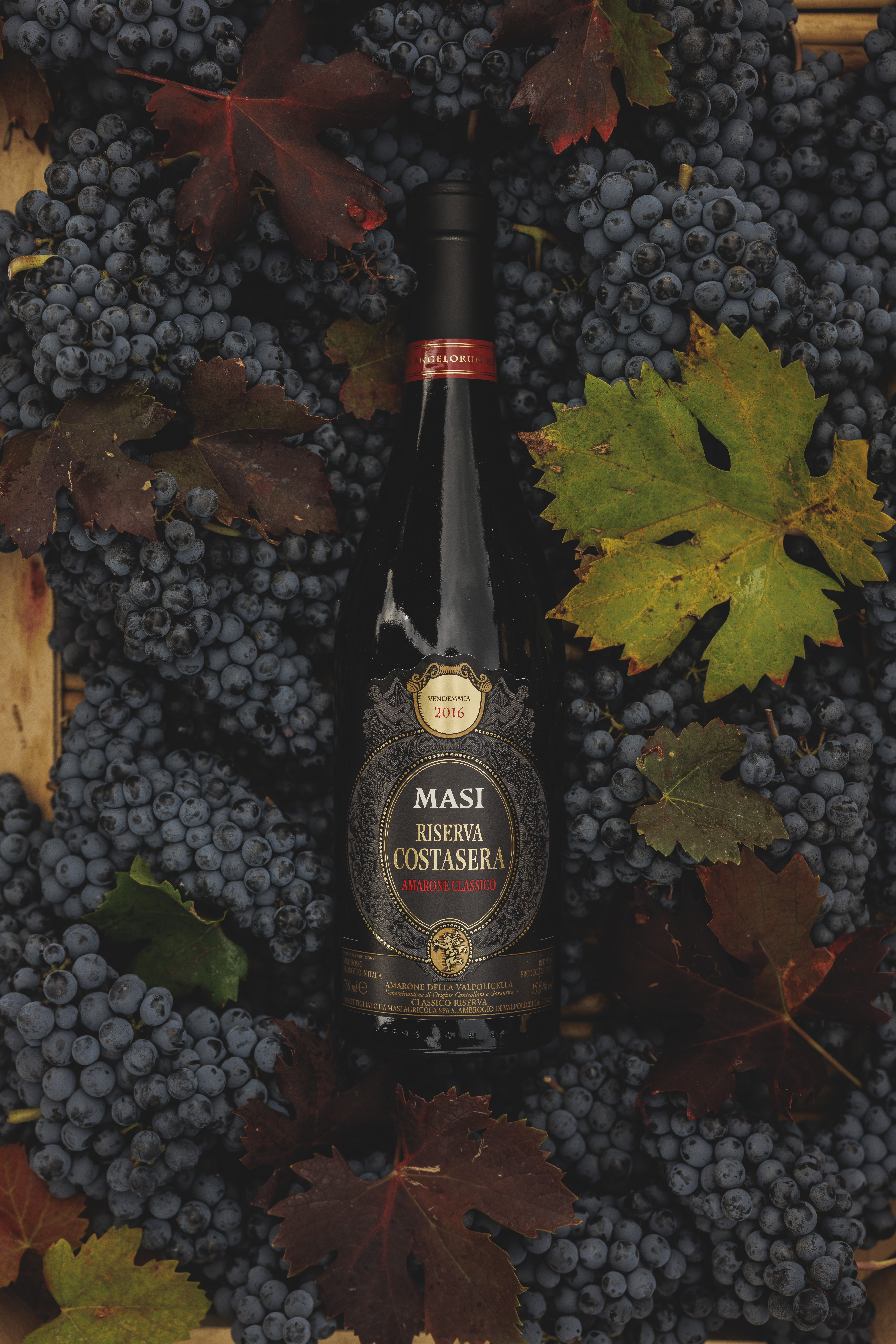 Amarone and Recioto | Masi